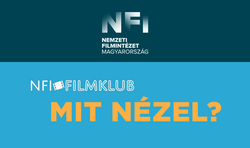 Finisszázs és kurátori tárlatvezetés